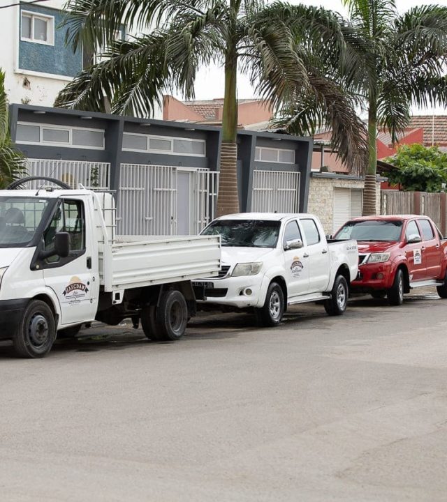 serviços